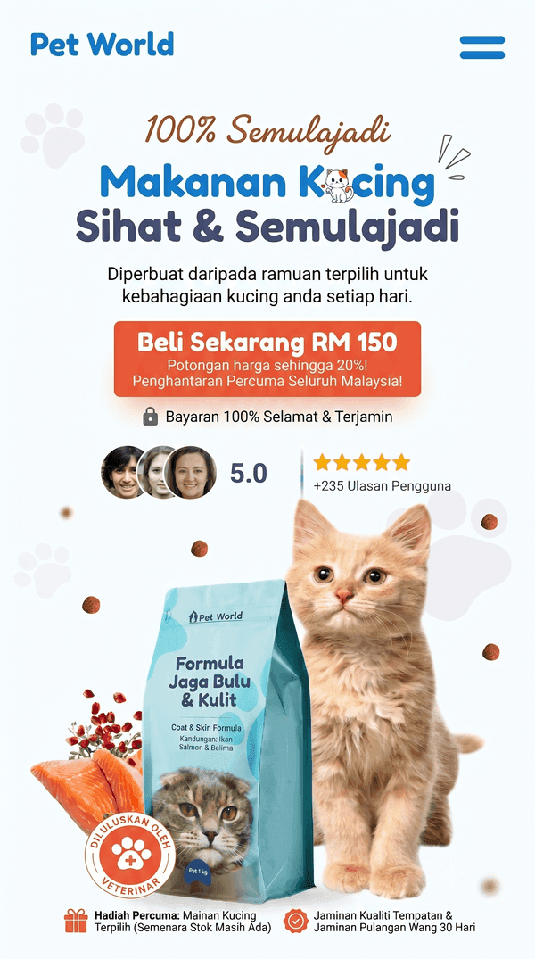 Long screenshot of Pet World Makanan Kucing template